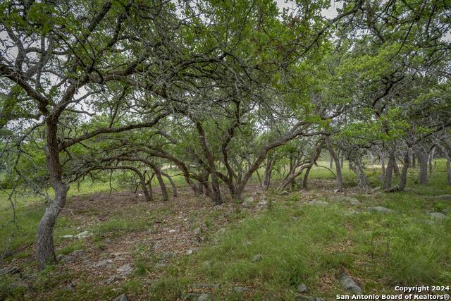 34780 High Gate Rd Property Photo 19