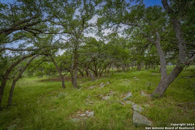 34780 High Gate Rd Property Photo 20