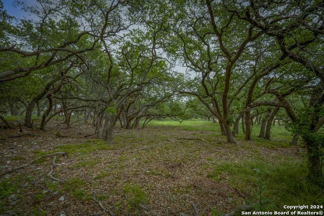 34780 High Gate Rd Property Photo 21