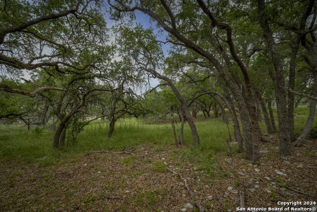 34780 High Gate Rd Property Photo 22