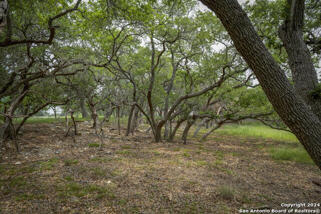 34780 High Gate Rd Property Photo 24