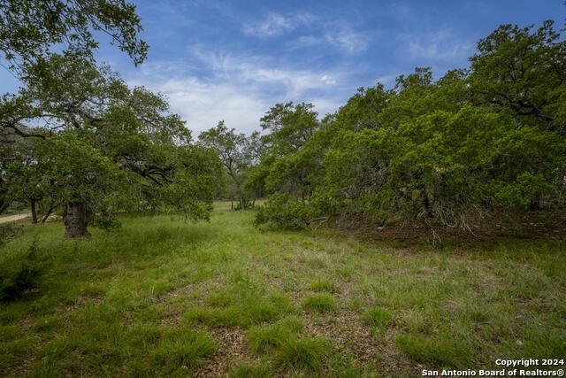 34780 High Gate Rd Property Photo 25