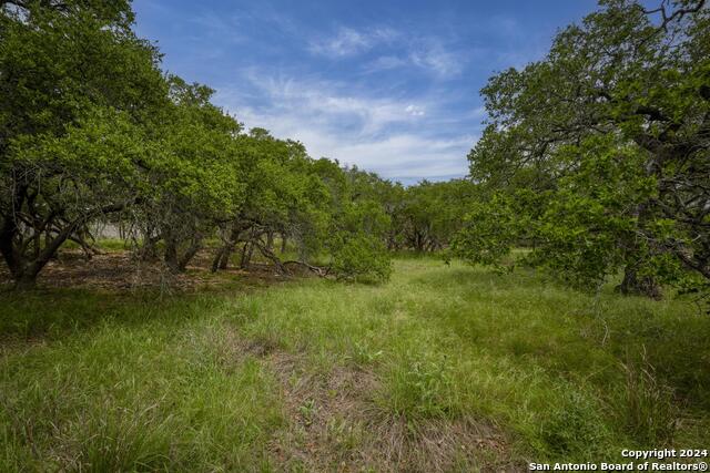 34780 High Gate Rd Property Photo 28