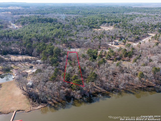 3104 Shadow Pine Drive Property Photo 4