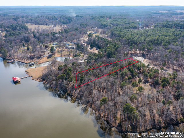 3104 Shadow Pine Drive Property Photo 5