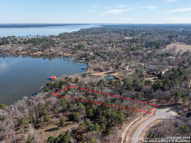 3104 Shadow Pine Drive Property Photo 6