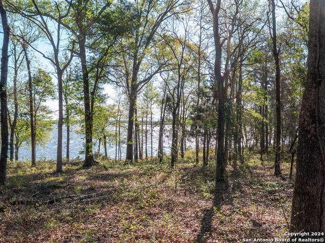 3104 Shadow Pine Drive Property Photo 10