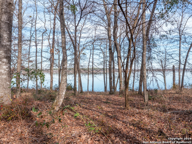3104 Shadow Pine Drive Property Photo 12