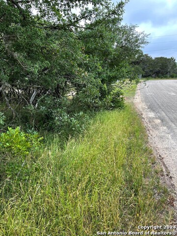 Tbd Blue Bill Cove Dr Property Photo 2