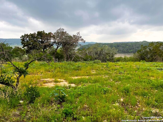 Tbd Blue Bill Cove Dr Property Photo 3