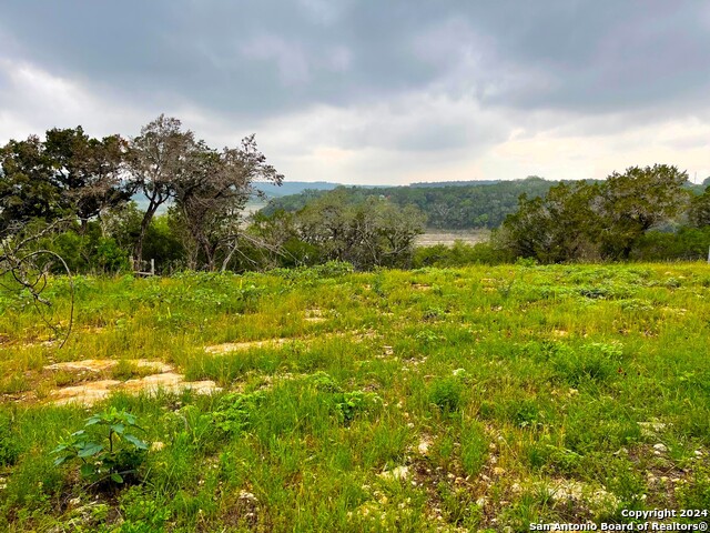Tbd Blue Bill Cove Dr Property Photo 4