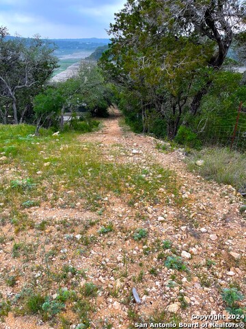 Tbd Blue Bill Cove Dr Property Photo 7