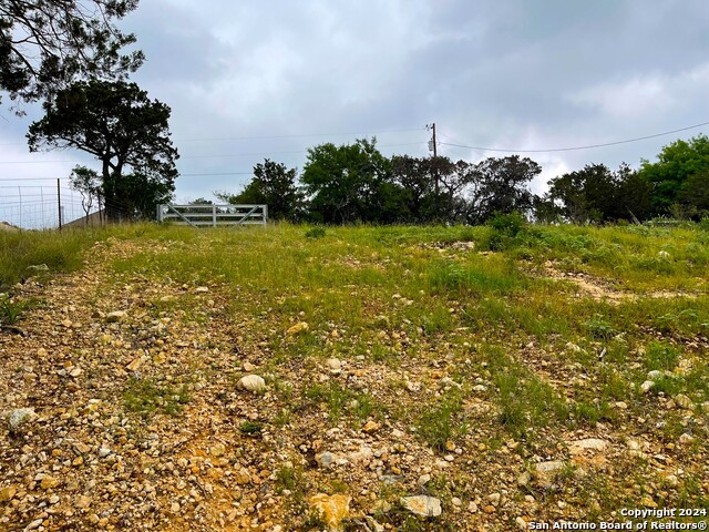 Tbd Blue Bill Cove Dr Property Photo 8