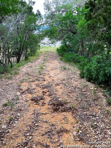 Tbd Blue Bill Cove Dr Property Photo 9