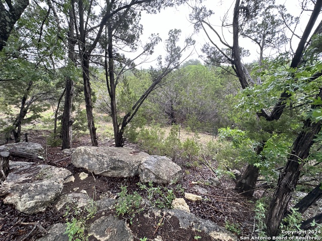 Tbd Stagecoach Trl Property Photo 6