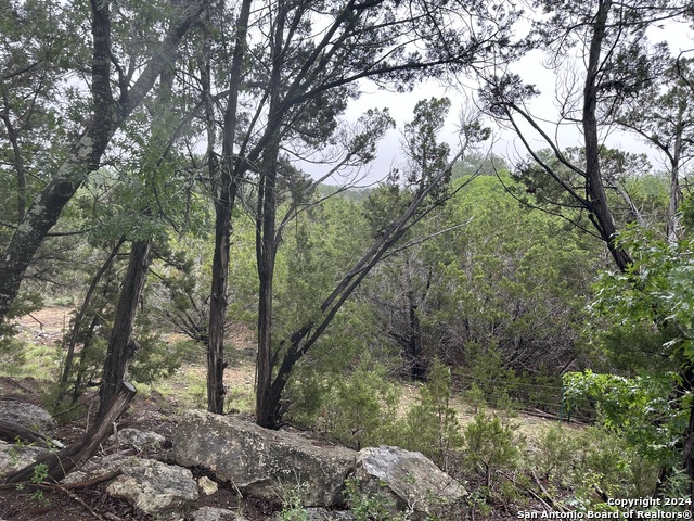 Tbd Stagecoach Trl Property Photo 7