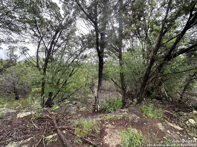 Tbd Stagecoach Trl Property Photo 10