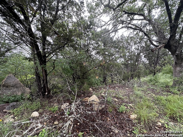 Tbd Stagecoach Trl Property Photo 11