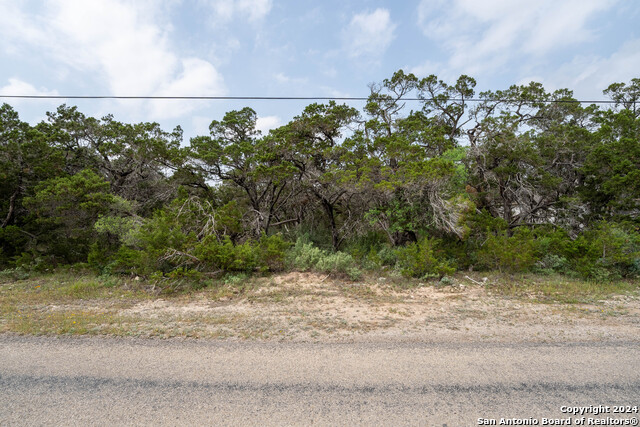 6136 Tanglewood Trl Property Photo 2