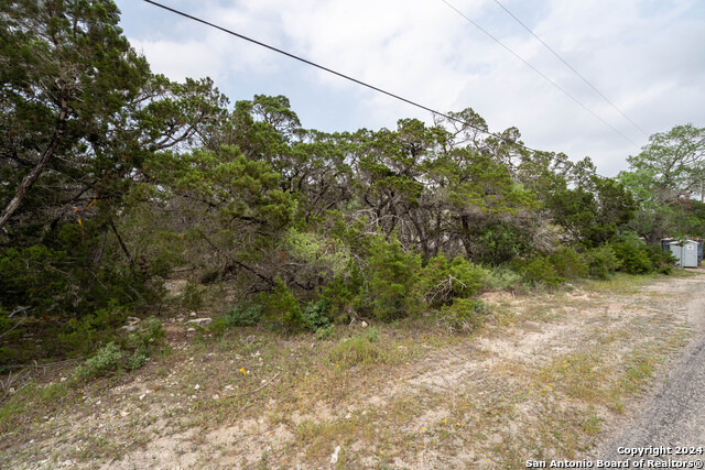 6136 Tanglewood Trl Property Photo 19