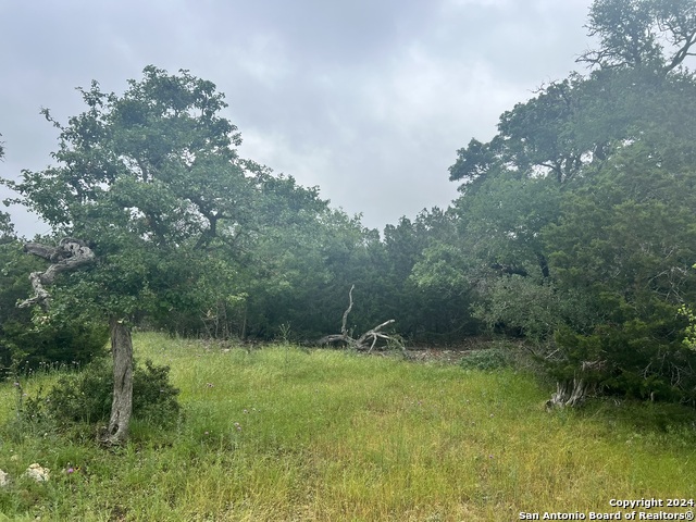 512 Lasso Loop Property Photo 1