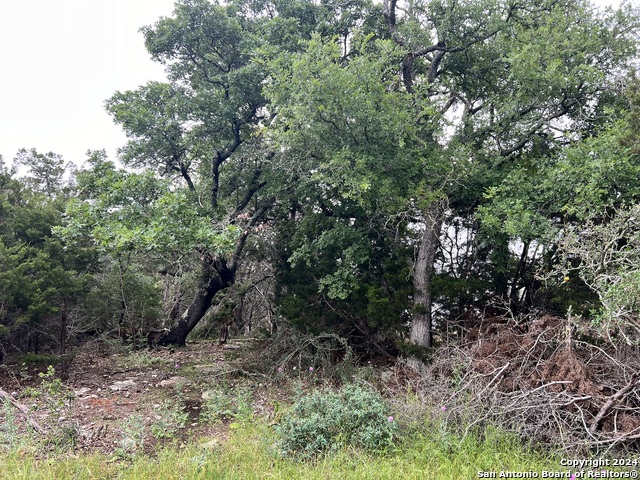 512 Lasso Loop Property Photo 3