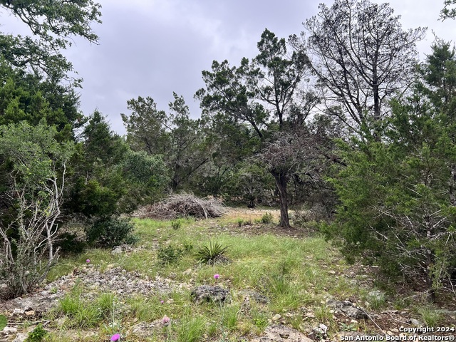 512 Lasso Loop Property Photo 4