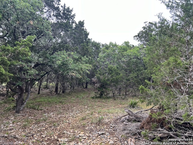 512 Lasso Loop Property Photo 6