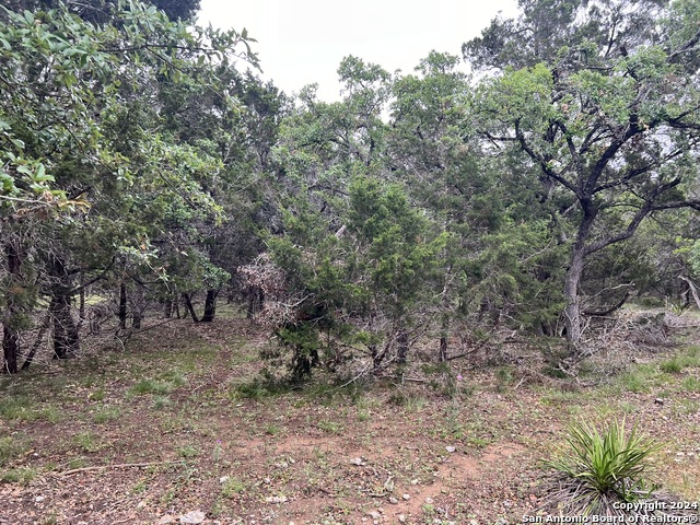 512 Lasso Loop Property Photo 8