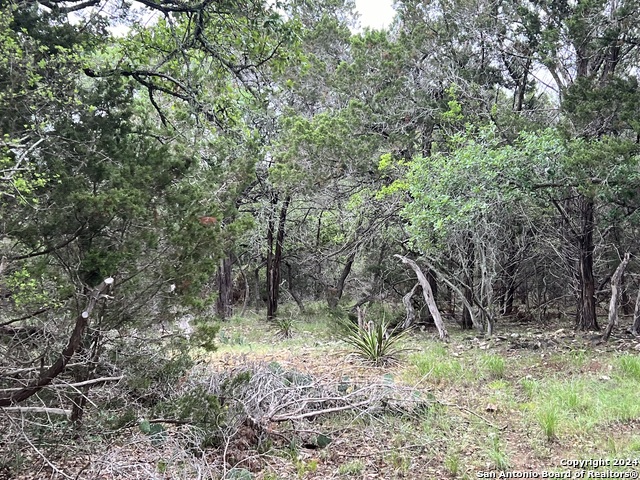 512 Lasso Loop Property Photo 9