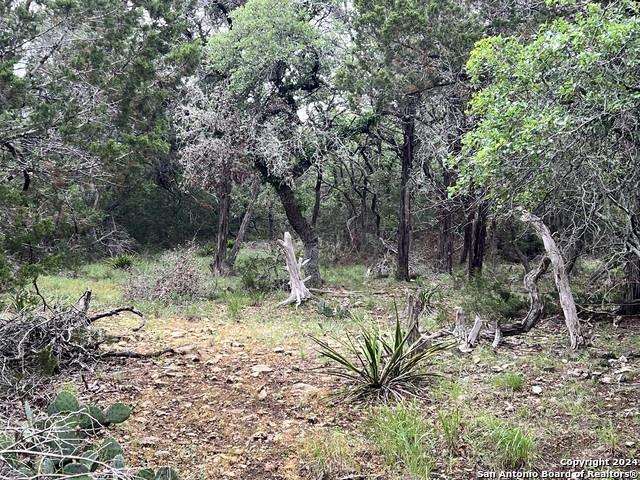 512 Lasso Loop Property Photo 11