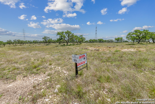 100 Spring Crossing Property Photo 3