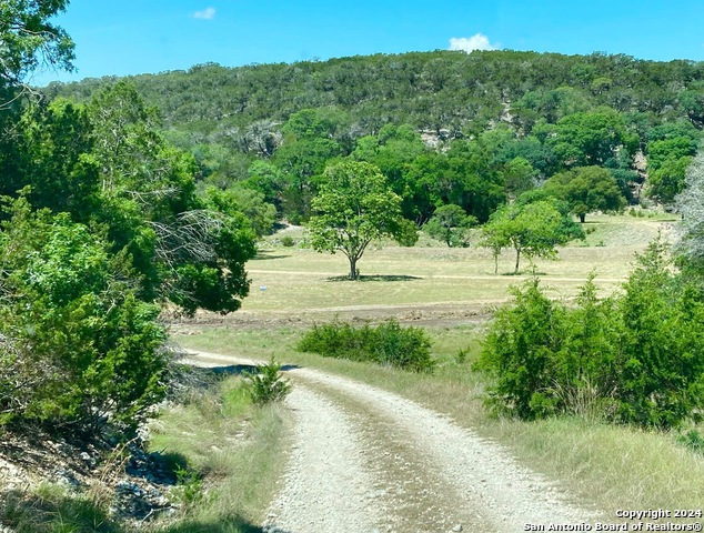 Lot 134 Shapen Springs Rd Property Photo 2