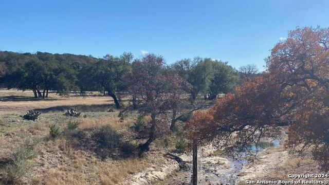 Lot 134 Shapen Springs Rd Property Photo 4