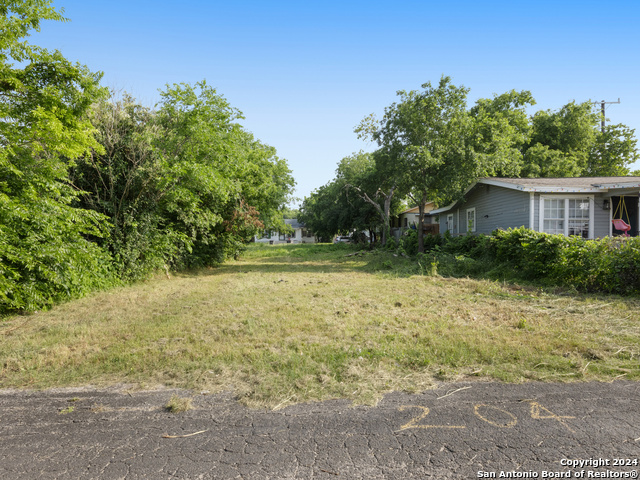 204 Orphan Property Photo 1