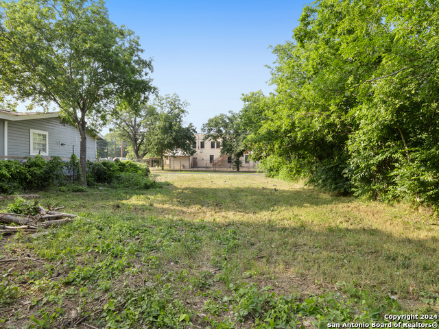 204 Orphan Property Photo 3