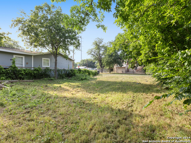 204 Orphan Property Photo 4