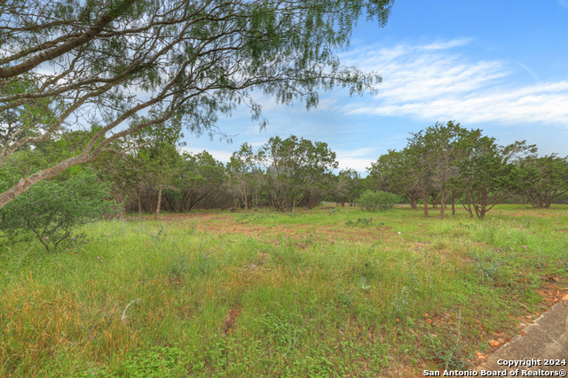 10402 Rinder Farm Court Property Photo 7