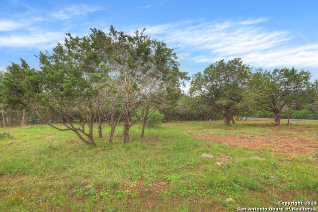 10402 Rinder Farm Court Property Photo 8