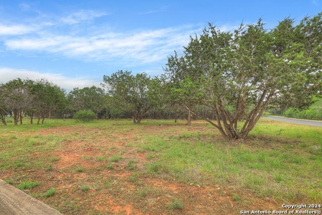 10402 Rinder Farm Court Property Photo 9