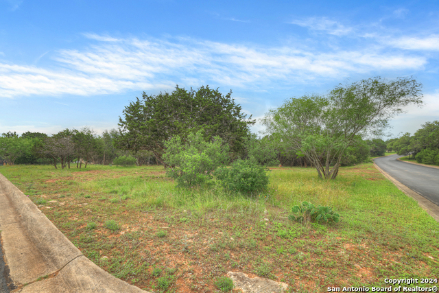 10402 Rinder Farm Court Property Photo 10