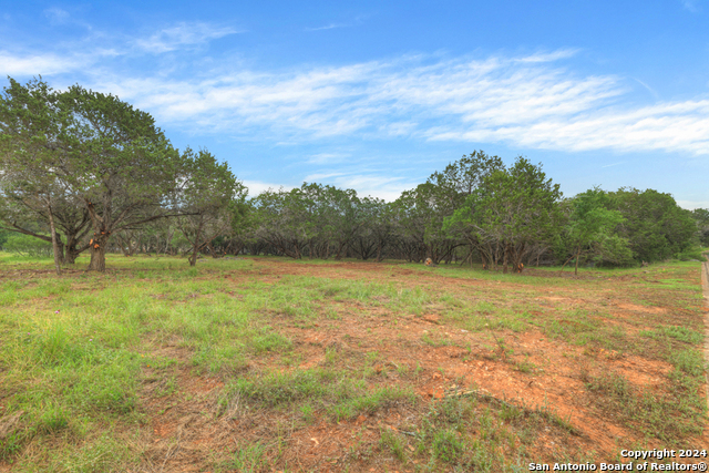 10402 Rinder Farm Court Property Photo 11