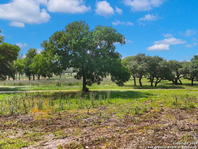 Lot 169 Coldwater Dr Property Photo 22