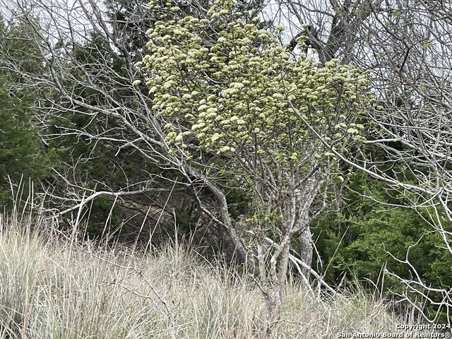 Tbd Sanctuary Lane Property Photo 21