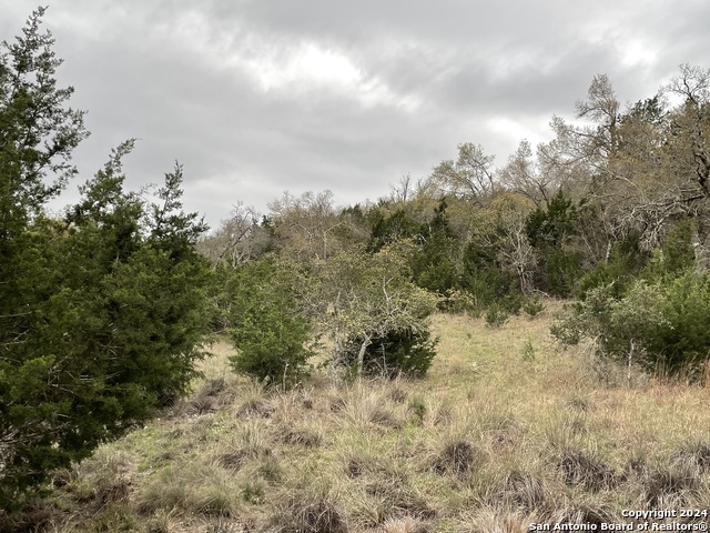 Tbd Sanctuary Lane Property Photo 28