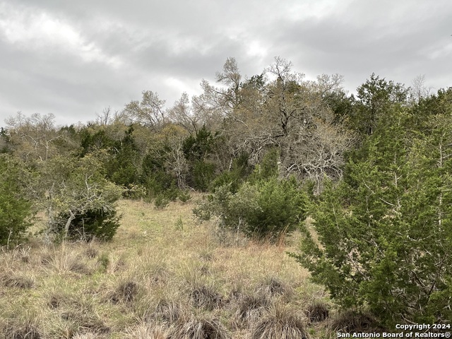 Tbd Sanctuary Lane Property Photo 29