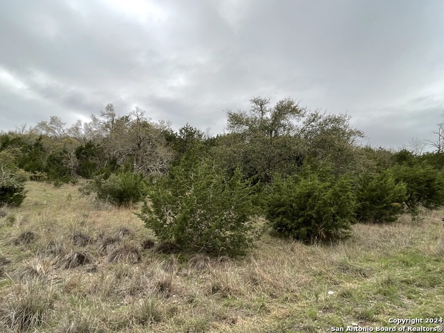 Tbd Sanctuary Lane Property Photo 30