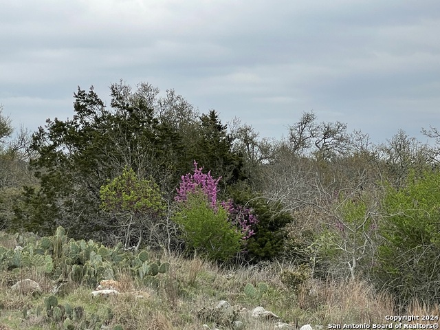 Tbd Sanctuary Lane Property Photo 31