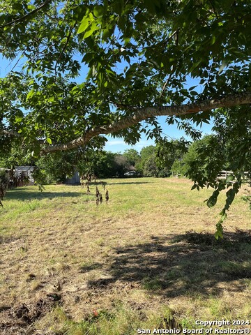 557 Collins St. Property Photo 4