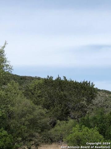 40 Whitetail Run Property Photo 1